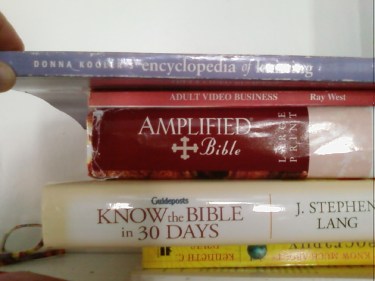 Photo of a stack of books that includes a book about knitting, a Bible, some other Bible study materials, and a book titled "Adult Video Business"