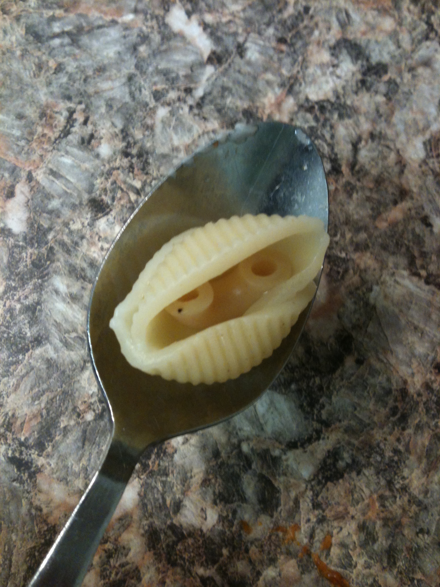 Photo of a spoon holding a pasta shell with a piece of macaroni inside the shell