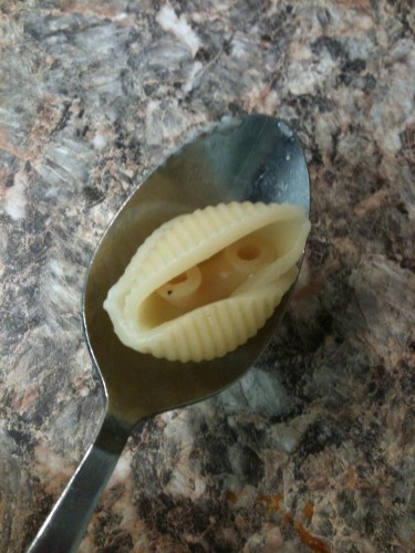 Photo of a spoon holding a pasta shell with a piece of macaroni inside the shell